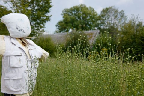 Tennafest am 29.09. im Oberfränkischen Bauernhofmuseum Kleinlosnitz