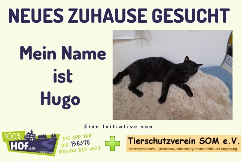 Unser Tier der Woche heißt Hugo!