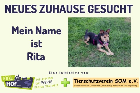 Unser Tier der Woche heißt Rita !