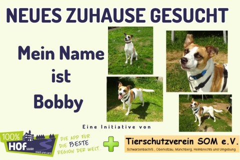 Unser Tier der Woche heißt Bobby !